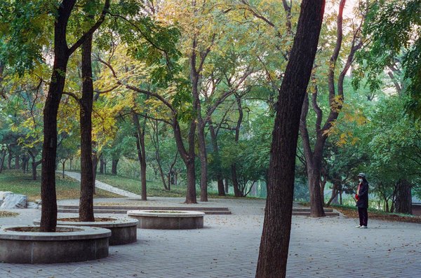 Les avancées en matière de radiologie dans le diagnostic du cancer