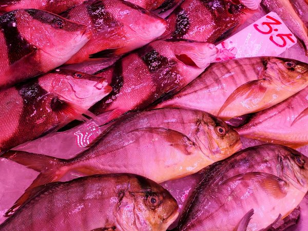 Ultimes conseils nutritionnels pour soulager les symptômes de la maladie cœliaque